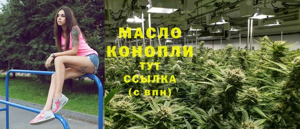 винт Пересвет