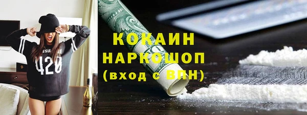 винт Пересвет