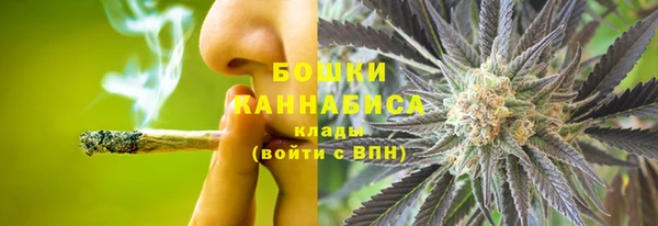 винт Пересвет