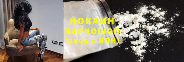 винт Пересвет