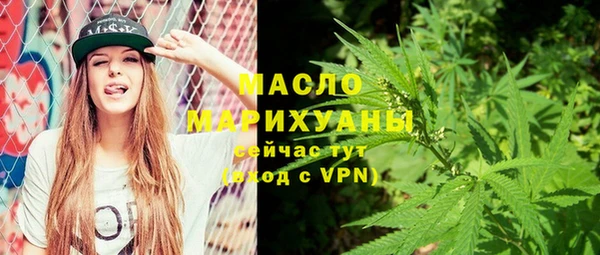 винт Пересвет